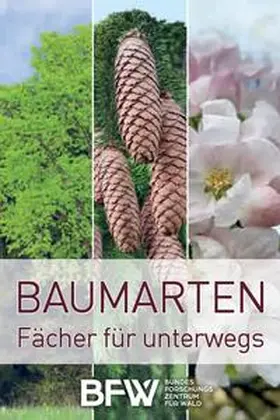 Schreck / Lackner / Langmaier |  Baumarten | Buch |  Sack Fachmedien