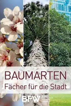 Schreck / Lapin / Hoch |  Baumarten | Buch |  Sack Fachmedien