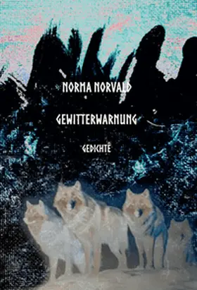 Norvald |  Gewitterwarnung | Buch |  Sack Fachmedien
