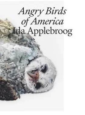Applin / Kunstmuseum Thun / Helen |  Ida Applebroog | Buch |  Sack Fachmedien
