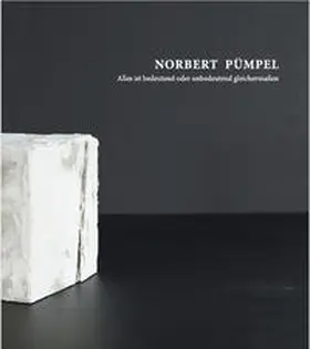 Kimpel / Pümpel / Somavilla |  Norbert Pümpel | Buch |  Sack Fachmedien