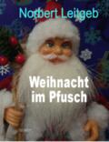 Leitgeb |  Weihnacht im Pfusch | Buch |  Sack Fachmedien