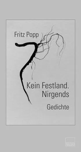 Popp |  Kein Festland. Nirgends | Buch |  Sack Fachmedien