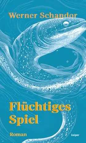 Schandor |  Flüchtiges Spiel | Buch |  Sack Fachmedien