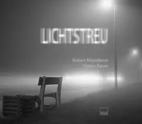 Kleindienst |  Lichtstreu | Buch |  Sack Fachmedien