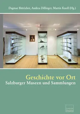 Bittricher / Dillinger / Knoll |  Geschichte vor Ort | Buch |  Sack Fachmedien
