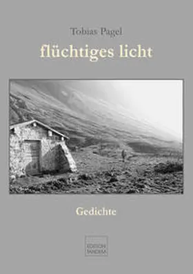 Pagel |  flüchtiges licht | Buch |  Sack Fachmedien