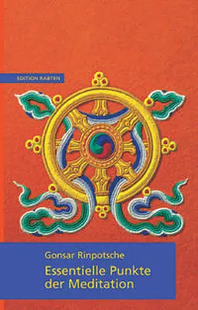  Essentielle Punkte der Meditation | Buch |  Sack Fachmedien