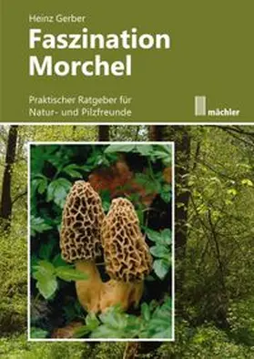 Gerber |  Faszination Morchel | Buch |  Sack Fachmedien