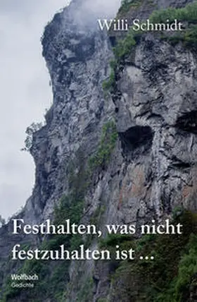 Schmidt |  Festhalten, was nicht festzuhalten ist ... | Buch |  Sack Fachmedien