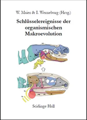 Maier / Werneburg / Betz |  Schlüsselereignisse der Organismischen Makroevolution | Buch |  Sack Fachmedien