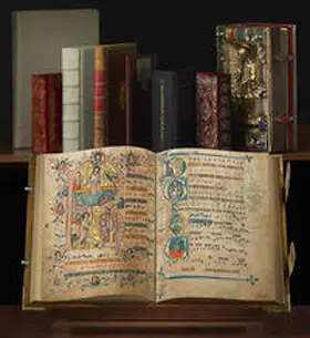Wolter-von dem Knesebek / Kolb / Queckenstedt |  Der Codex Gisle | Buch |  Sack Fachmedien