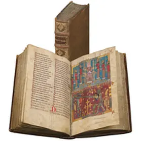 Schanze / Mierke / Jacobs |  Der Wigalois des Wirnt von Grafenberg | Buch |  Sack Fachmedien