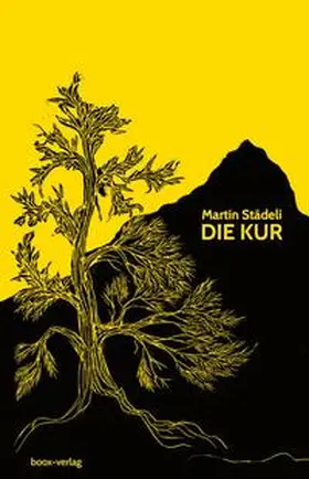 Städeli |  Die Kur | Buch |  Sack Fachmedien