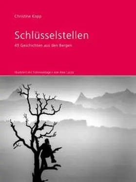 Kopp |  Schlüsselstellen | Buch |  Sack Fachmedien