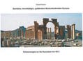 Fischer |  Zerstörte, beschädigte, gefährdete Kulturdenkmäler Syriens | Buch |  Sack Fachmedien