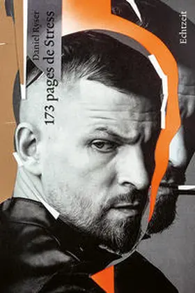 Ryser |  173 pages de Stress | Buch |  Sack Fachmedien