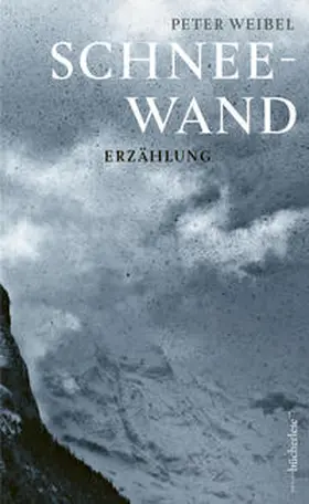 Weibel |  Schneewand | Buch |  Sack Fachmedien