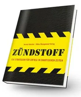 Gutsche |  Zündstoff | Buch |  Sack Fachmedien