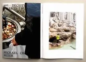 Meier / Franz / Rosenmeyer |  Deceitful Habits in a Human’s Soul | Buch |  Sack Fachmedien