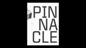 Wenzel |  Ulrike Hanneman. Pinnacle | Buch |  Sack Fachmedien