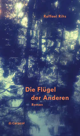 Rihs |  Die Flügel der Anderen | Buch |  Sack Fachmedien