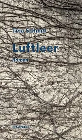 Schmid |  Luftleer | Buch |  Sack Fachmedien