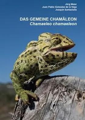 Meier |  Das Gemeine Chamäleon | Buch |  Sack Fachmedien