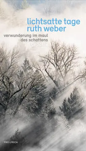 Weber |  Lichtsatte Tage – Verwunderung im Maul des Schattens | Buch |  Sack Fachmedien