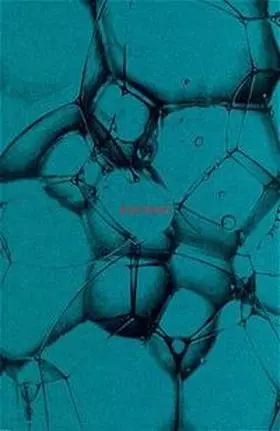 Saunders / Walder |  Ecstasy | Buch |  Sack Fachmedien