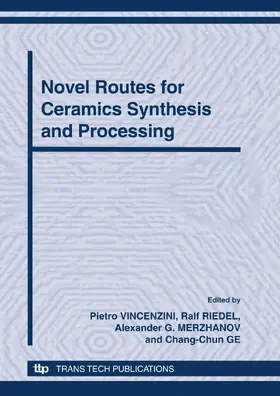 Vincenzini / Riedel / Merzhanov |  12th INTERNATIONAL CERAMICS CONGRESS PART B | Buch |  Sack Fachmedien