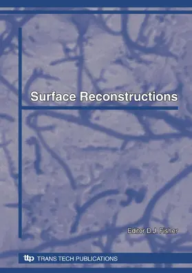 Fisher | Surface Reconstructions | Buch | 978-3-908451-71-6 | sack.de