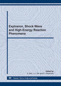Itoh / Yoh / Hokamoto |  Explosion, Shock Wave and High-Energy Reaction Phenomena | Sonstiges |  Sack Fachmedien