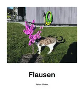 Pfister |  Flausen | Buch |  Sack Fachmedien