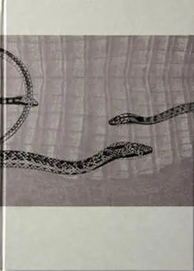 Strobl / Kubaczek |  Ingeborg Strobl | Buch |  Sack Fachmedien