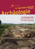 Dresely / Meller |  Archäologie in Sachsen-Anhalt / Archäologie XXL | Buch |  Sack Fachmedien