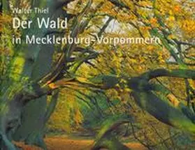 Thiel |  Der Wald in Mecklenburg-Vorpommern | Buch |  Sack Fachmedien
