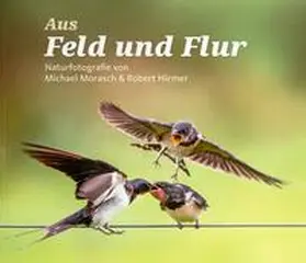 Zentrum Stadtgeschichte Ingolstadt / Bauerngerätemuseum Hundszell |  Aus Feld und Flur | Buch |  Sack Fachmedien