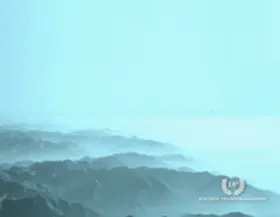 Geißler |  Die Projektmanagement-Bibel: Agiles Projektmanagement mit SCRUM | Buch |  Sack Fachmedien