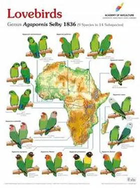  Poster Lovebirds | Sonstiges |  Sack Fachmedien