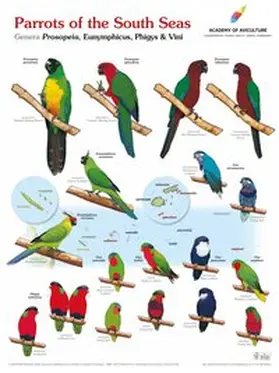  Poster Parrots of the South Seas | Sonstiges |  Sack Fachmedien
