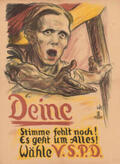 Hofmannn / Haslauer / Rupprecht |  Kampf um die Demokratie. Plakate aus dem Wahljahr1924 | Buch |  Sack Fachmedien