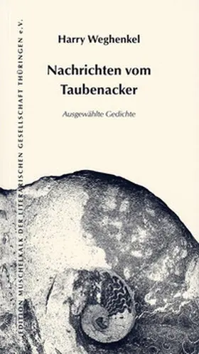 Weghenkel |  Nachrichten vom Taubenacker | Buch |  Sack Fachmedien