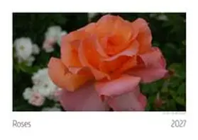  Roses Kalender 2027 | Sonstiges |  Sack Fachmedien