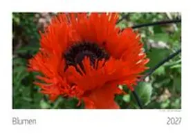  Blumen Kalender 2027 | Sonstiges |  Sack Fachmedien
