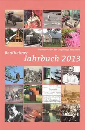 Knolle / Mülstegen / Groene | Bentheimer Jahrbuch 2013 | Buch | 978-3-922428-94-7 | sack.de