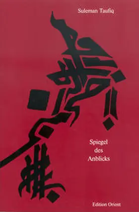 Taufiq |  Spiegel des Anblicks | Buch |  Sack Fachmedien