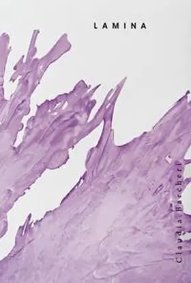 Steig |  Claudia Barcheri - LAMINA | Buch |  Sack Fachmedien