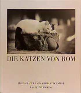 Schnabel |  Die Katzen von Rom | Buch |  Sack Fachmedien