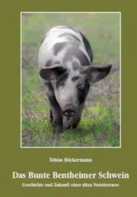Böckermann |  Das Bunte Bentheimer Schwein | Buch |  Sack Fachmedien